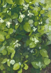 Magnolia en flor, 2014